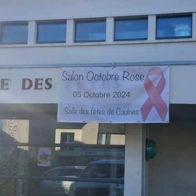 Salon caulnes